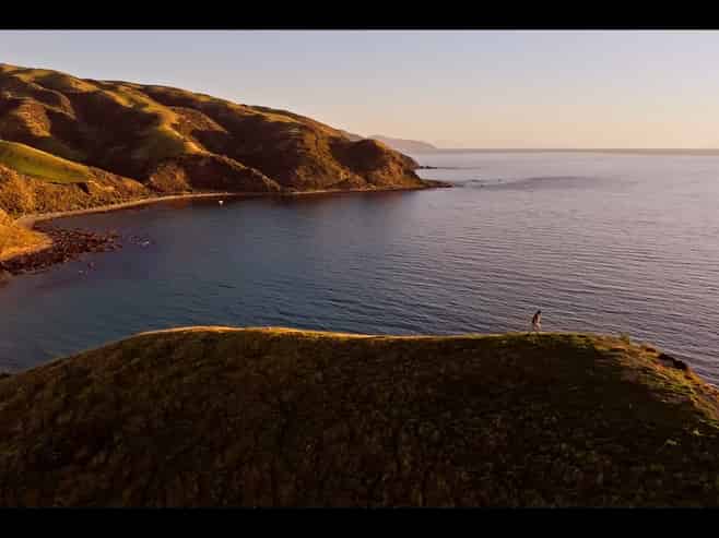  Pikarere Farm, Porirua