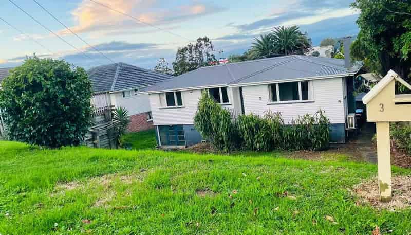 3 Marion Avenue, Mount Roskill