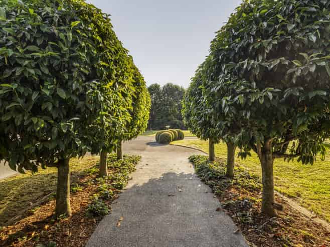 143 Long Road, Te Awamutu