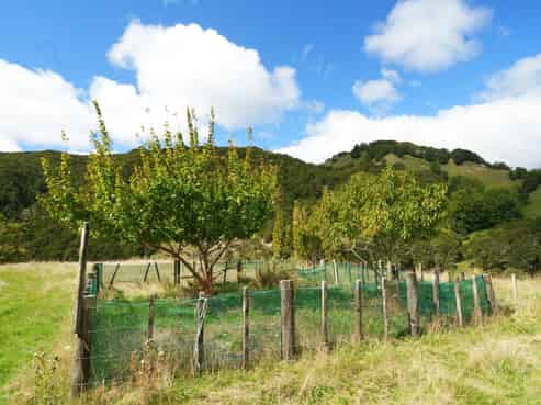 Lot 2 Ruakituri Road, Ruakituri