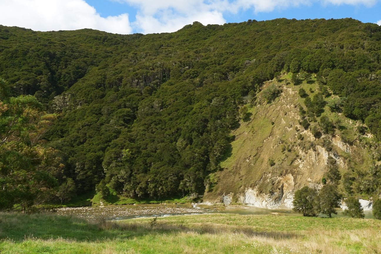 A river, a rod, don't miss it! - Vue 6