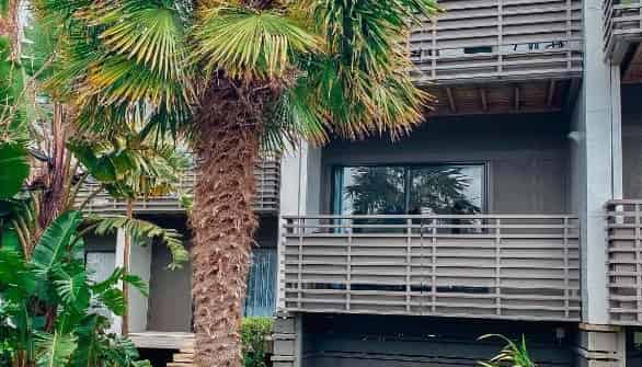 1 Centennial Drive, Whitianga