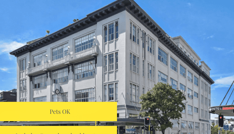 2P/238 Karangahape Road, Auckland Central