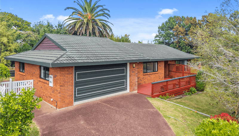 131F Parrs Cross Road, Glen Eden