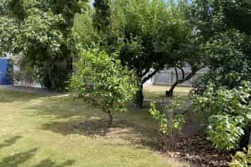 54 Guy Avenue, Takaro