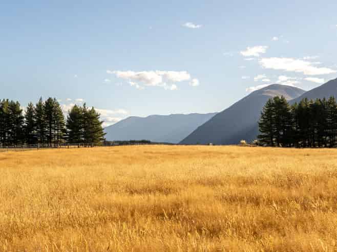 160D Manuka Terrace, TWIZEL