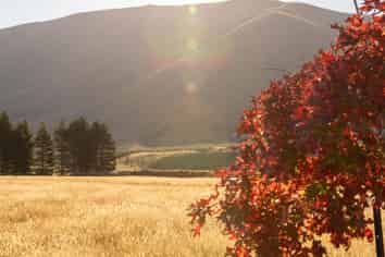 160D Manuka Terrace, TWIZEL