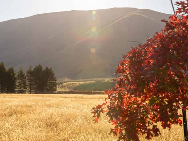 160D Manuka Terrace, TWIZEL