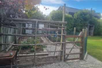 177 Alison Avenue, Albert Town