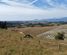 78 Teapot Valley Road, Brightwater, Tasman, Nelson & Bays
