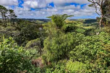 419 Kemp Road, Awhitu