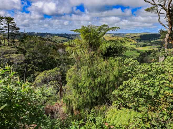 419 Kemp Road, Awhitu