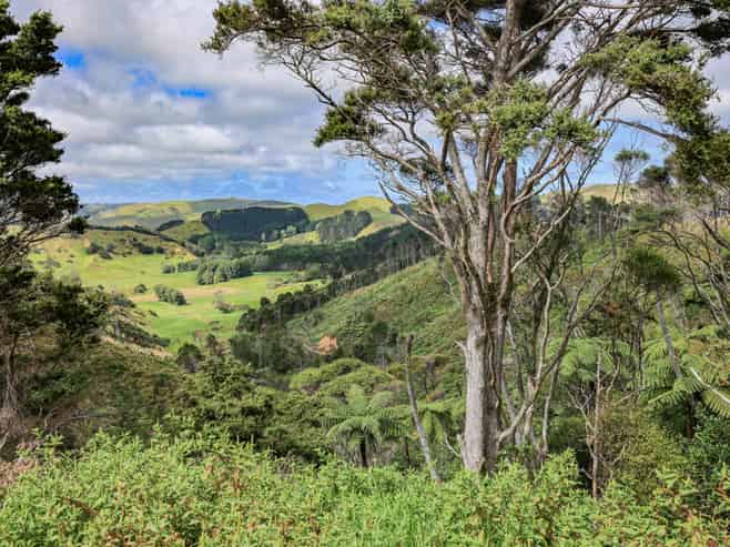 419 Kemp Road, Awhitu