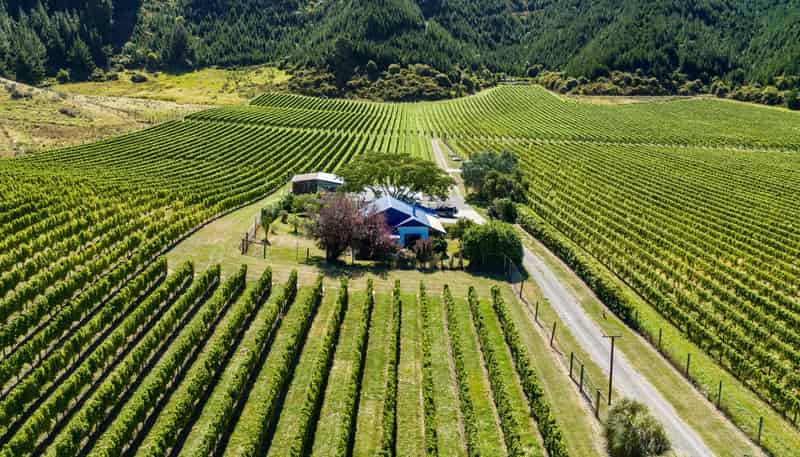 1224 Kaituna-Tuamarina Road, Kaituna