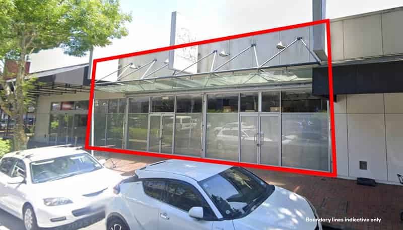 PS351/10 Aylesbury Street, Pakuranga