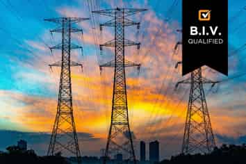 Specialised Electrical Design and Manufacture