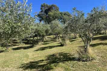 127D Ridgeview Road, Redwood Valley