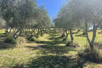 127D Ridgeview Road, Redwood Valley