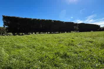 85 George Street, Edendale