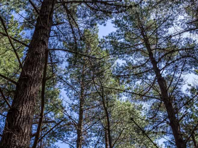 939 Kaiwhata Road, Te Wharau