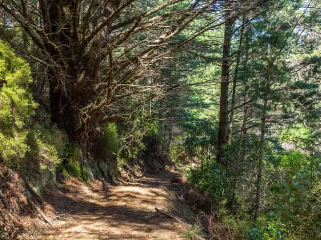 939 Kaiwhata Road, Te Wharau