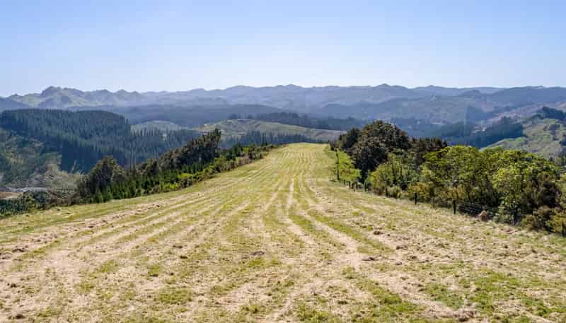 939 Kaiwhata Road, Te Wharau