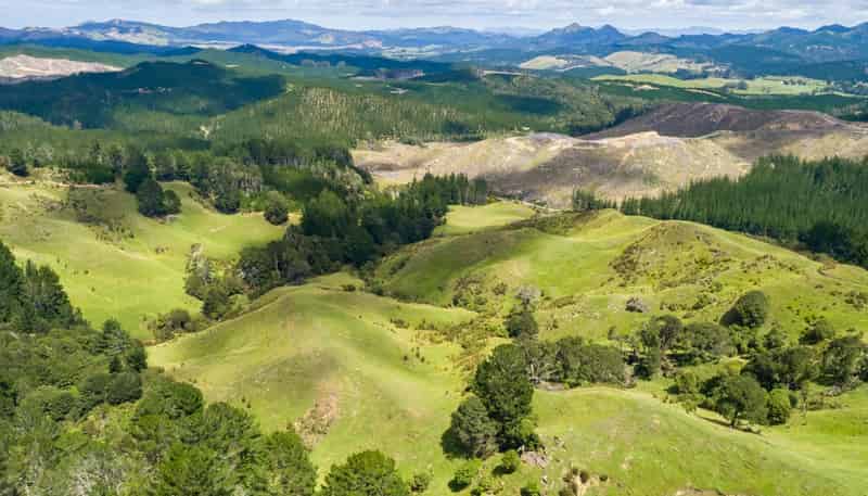 939 Kaiwhata Road, Te Wharau