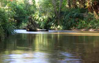 1099 Paradise Valley Road, Ngongotaha Valley