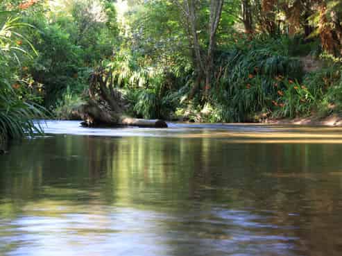 1099 Paradise Valley Road, Ngongotaha Valley