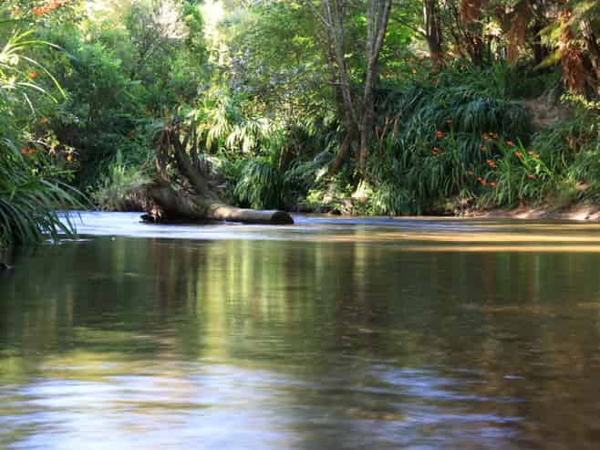 1099 Paradise Valley Road, Ngongotaha Valley