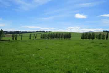 102 Talbot Road, Te Anau