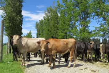 102 Talbot Road, Te Anau