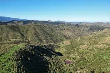 369 Makopua Road, Taihape