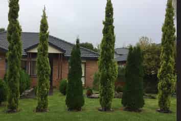 44 Bass Road, Albany