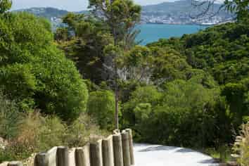 52A Dungarvan Road, Newlands