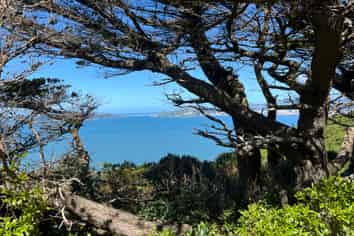 52A Dungarvan Road, Newlands