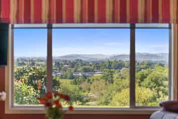 3 Linehan Road, Te Awamutu