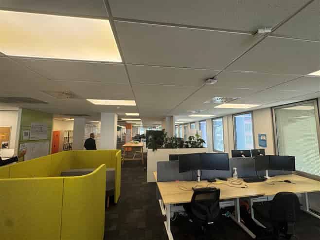 Rent under $300 gross psm!!