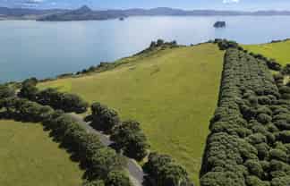 398E Lees Road, Hahei