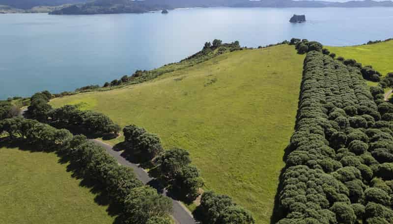 398E Lees Road, Hahei