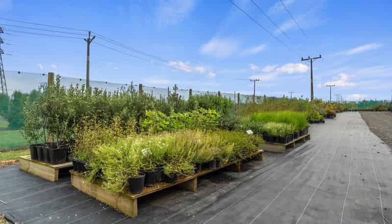43 Mikkelsen Road, Te Aroha
