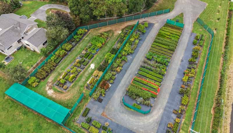 43 Mikkelsen Road, Te Aroha
