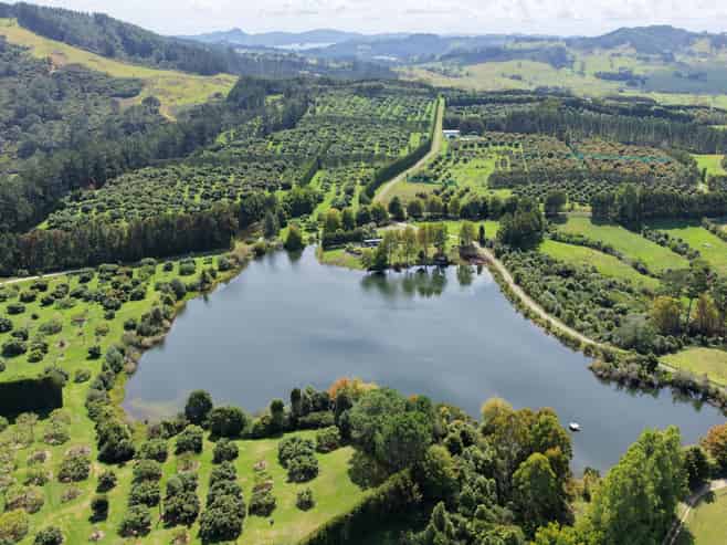 121C Purangi Road, Whenuakite