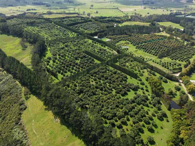 121C Purangi Road, Whenuakite