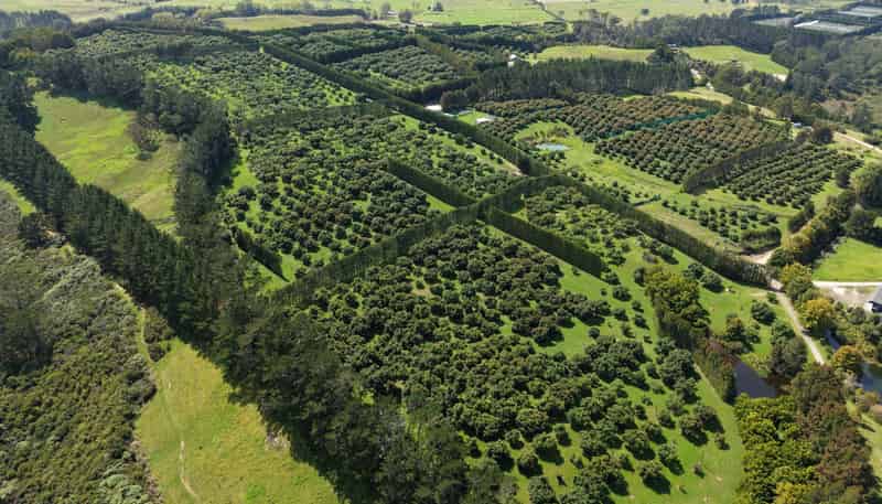 121C Purangi Road, Whenuakite