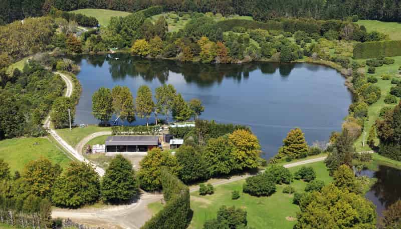 121C Purangi Road, Whenuakite