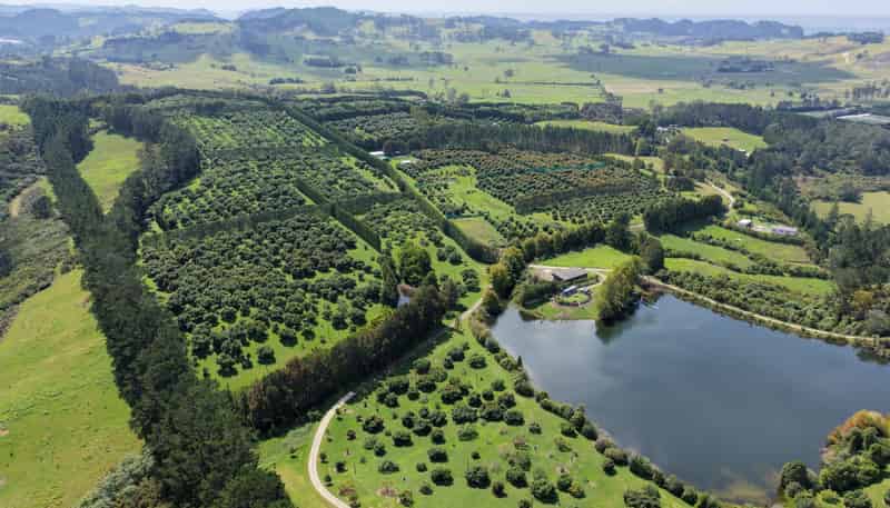 121C Purangi Road, Whenuakite