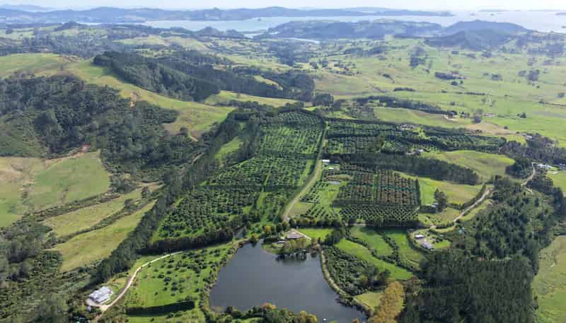 121C Purangi Road, Whenuakite