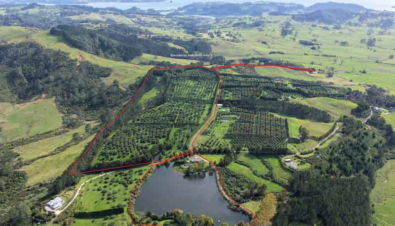 121C Purangi Road, Whenuakite