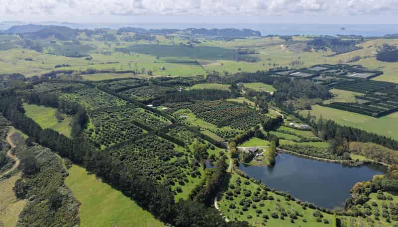 121C Purangi Road, Whenuakite